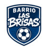 Final de Fútbol Rápido Las Brisas